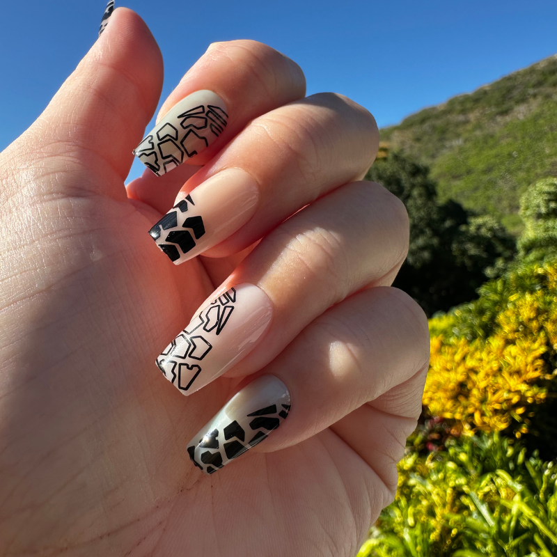 PRESS ON: PUPU PONIUNIU (HEBREW CONE)